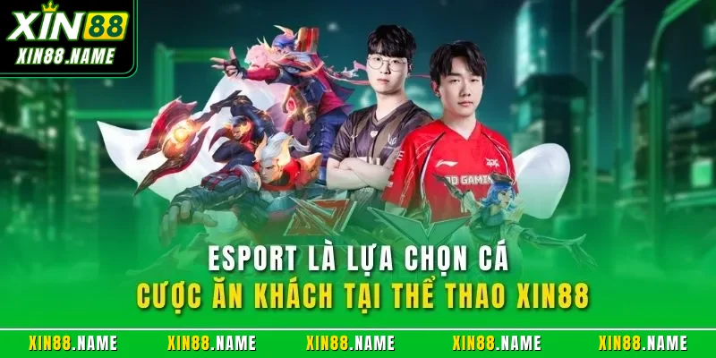 Esport là lựa chọn cá cược ăn khách tại thể thao XIN88
